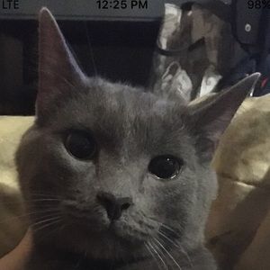 Meet your Posher, Abby